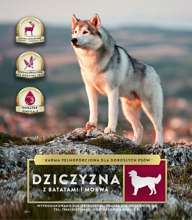 obraz_2024-12-12_110014981.png